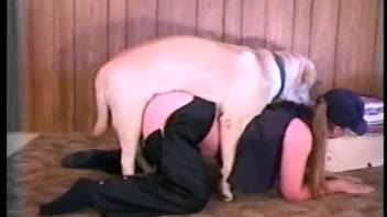 Steamy live cam bestiality encounter video featuring a playful older woman