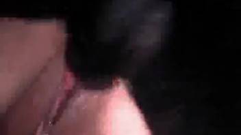 Ebony canine tongues and pounds a horny thick-booty vixen