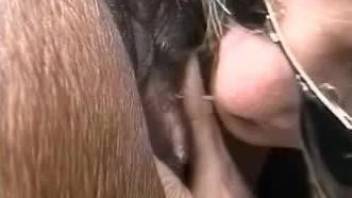Horse fucking brutal zoophilia with a nasty bitch