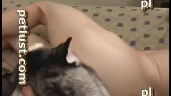 Guy screwing a filthy creature with his thick cock