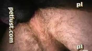 Guy mounts his dog and screws it intensely on webcam
