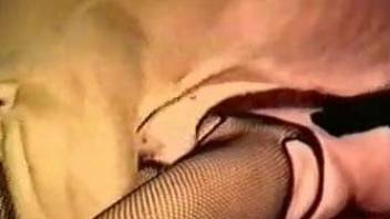 Women sharing the horse cock in insane XXX video
