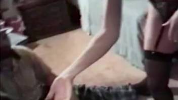 Homemade video of spouse caught fucking the canine