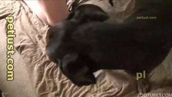 Homosexual man with a sexy ass being screwed by a dog