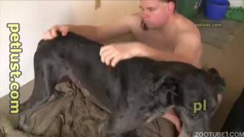 Chubby guy with long hair screws a large black dog