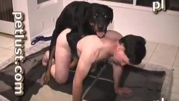 Dirty black doggy fucks a horny male in doggy style pose
