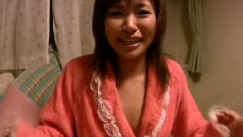 Insane Japanese animal encounters featuring adorable dogs and sexy women