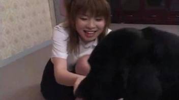 Hungry black dog with red cock fucks an Asian zoophile