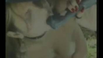 A whimpering hottie has her vagina pounded by a perverted stallion