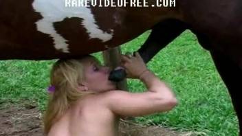 Blonde with big bottom fucks with a brown horse in missionary pose