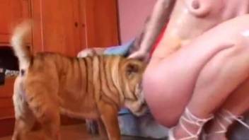 Blonde takes care of her dog in amateur bestiality