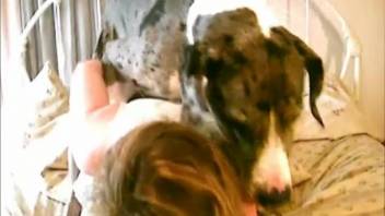Long-legged woman consents to a canine screwing her vagina