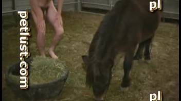 Adorable brunette filly gets thoroughly screwed in doggy style
