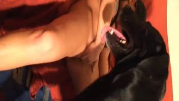 Curvy dark-haired babe craves to be pounded by a massive ebony stud