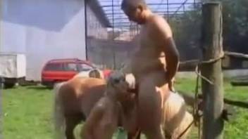 Good slut is watching her hubby fucking a nice white pony