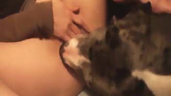 Horny woman shoves massive dog dick deep into her cunt for nonstop fucking