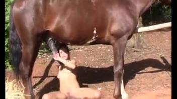 Slim young hottie attempts to screw a massive horse