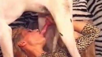Slender blonde is trying to fuck with a trained doggy