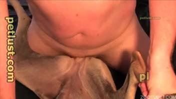 Guy's steamy cock delights a succulent pussy