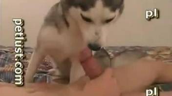 Stunning zoophile and his trained pet fuck in the bedroom