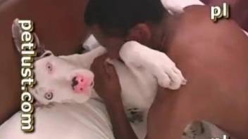 Sexy doggy is getting hardly fucked by big black cock