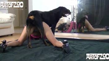 Perfectly kinky black babe getting screwed by a dog