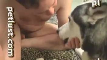 White Husky orally fucked a cock-swallowing owner zoofil