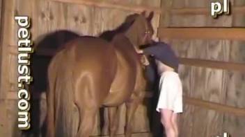 Animal porn in the barn with a farmer and his stallion