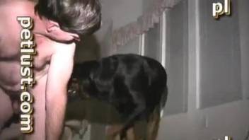 Black dog and horny zoophile fuck in the night bestiality XXX