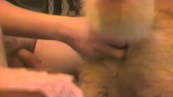 Gorgeous doggy and nasty zoophile in awesome amateur bestiality