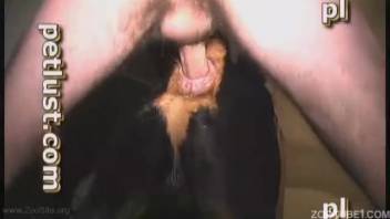 Furry dick guy relishing steamy intercourse with a beast