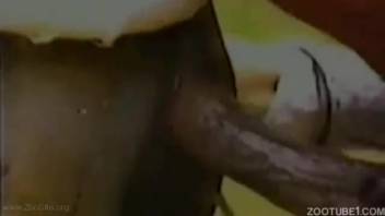 Amazing manual stimulation and sex with a perverted beast