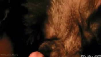 Frolicking with my adorable pup in homemade animal sex scene