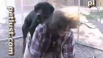 Perfect outdoor Animal Porn with a brutal black doggy