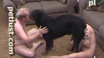 Fat dude with a sexy cock taking care of a dog's peen
