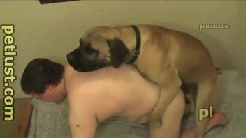 Man zoophile knows how to please his doggy in a right way