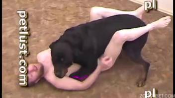 Dark canine penetrates aroused male in the doggy position pose