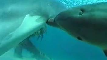 Submerged kinks arouse the excited female diver to stiffness