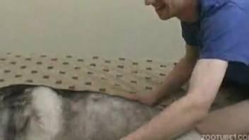 Horny guy roughly bangs his fluffy canine on webcam XXX