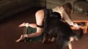 Attractive and steamy novice female zoophile passionately mates with a skilled dog