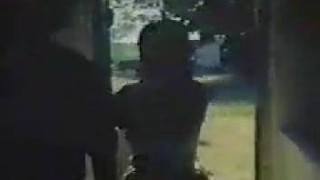Attractive stallion lets this guy bang that cunt