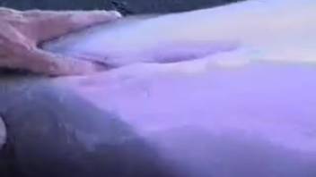 Bestiality enthusiast softly inserts fingers into marine creature's orifice