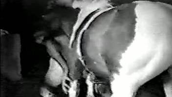 Classic animal sex film showing a beast lover mating with a small horse