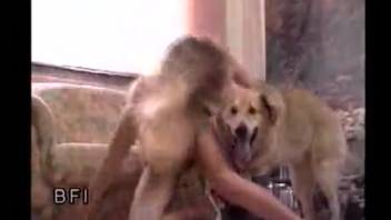 Brutal explicit content for a nude woman in sophisticated dog bestiality XXX
