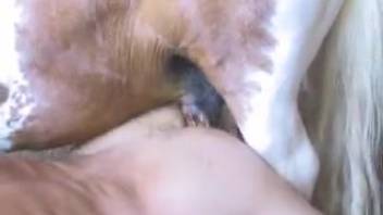 Equine rear penetrates nude homosexual male till he collapses in exhaustion