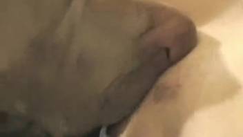 Adorable teen girl and her pup engage in zoophilia
