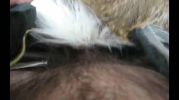 Guy's impressive cock expands a wet vagina
