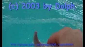 Guy fondles a dolphin's dick in extremely messy ways