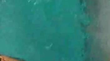 Guy experiences sexual attraction to a marine creature sporting a huge cock