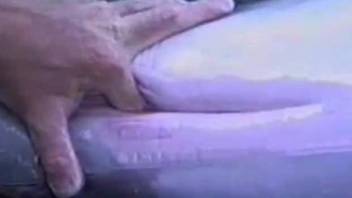 Man finger fucks dolphin's pussy in really intriguing XXX